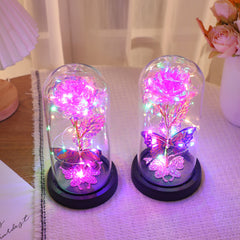 Dream Butterfly Rose Glass Cover Night Light Gift Box