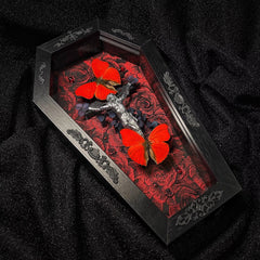 Blood - rimmed Glider Real Butterfly Frame: The Interweaving of Divinity and Mystery, Butterfly Taxidermy Specimen Decor&Collection Art