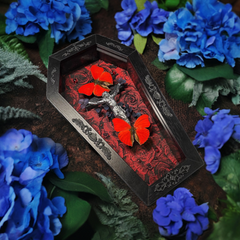 Blood - rimmed Glider Real Butterfly Frame: The Interweaving of Divinity and Mystery, Butterfly Taxidermy Specimen Decor&Collection Art