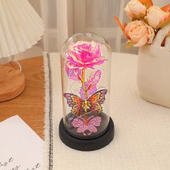 Dream Butterfly Rose Glass Cover Night Light Gift Box